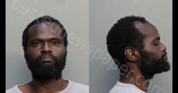 <B>SLAPPY</B>, <B>ANGELO</B> D #, Miami-Dade County, Florida - 2019-03-19 15:13:00