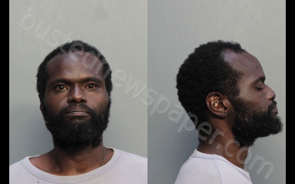 SLAPPY, ANGELO D #, Miami-Dade County, Florida - 2019-03-19 15:13:00