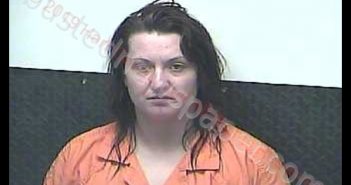 BRITTANY N WEBB | 2019-03-20 19:29:00 Hart County, Kentucky Booking