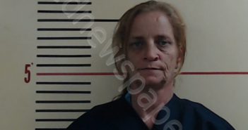 EVANS, MELISSA ANN | 2019-03-20 Parker County, Texas Booking