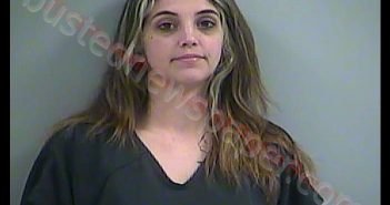 TORI S BELL | 2019-03-20 23:03:00 Russell County, Kentucky Booking