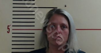 STRICKLAND, SHAY MICHELLE | 2019-03-21 Parker County, Texas Booking