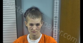 KASIE ANN WHITT | 2019-03-22 18:16:00 Ottawa County, Ohio Booking
