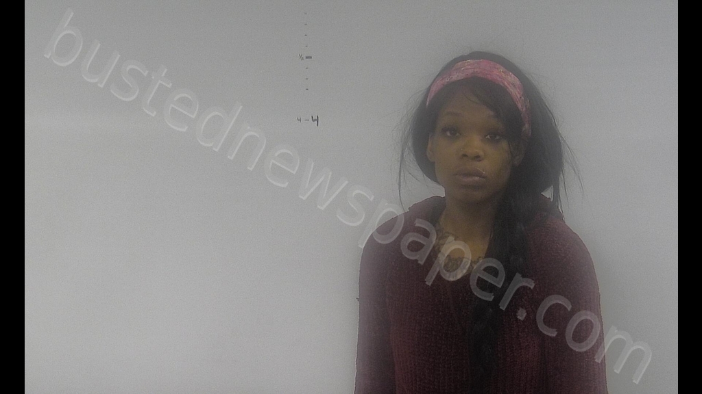 GWENDOLYN EVETTE JOHNSON #, Western Tidewater, Virginia - 2019-03-22 02:24:00