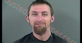 MICHAEL DWAYNE TUCKER | 2019-03-22 21:31:00 Anderson County, South Carolina Booking