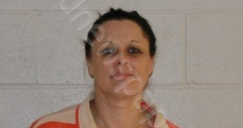 ORTEGA,DORIS DENISE | 2019-03-22 Brown County, Texas Booking