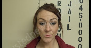 ASHLEY LYNNE SCHWARTZ | 2019-03-23 23:04:00 Howard County, Missouri Booking
