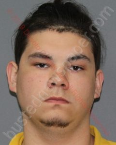 NICHOLAS COLE GOVEA | 2019-03-24 23:29:16 Desoto County, Mississippi, DeSoto County, Mississippi Booking