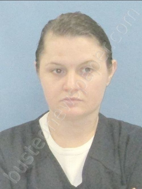 FREYALDENHOVEN,ERICA NICOLE #, Pulaski County, Arkansas - 2019-03-25 00:25:00