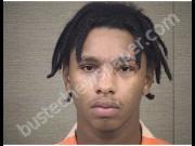 WHITE, RAY | 2019-03-25 Harnett County, North Carolina Booking