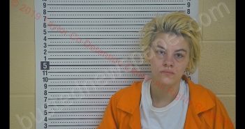 CHASSIDY M MILBURN | 2019-03-27 10:21:00 Taylor County, Kentucky Booking