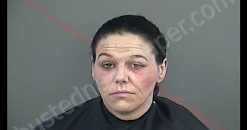 AMANDA JEAN CARROLL | 2019-03-27 17:50:00 Anderson County, South Carolina Booking
