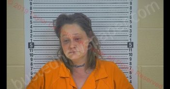 APRIL D. COX | 2019-03-27 00:48:00 Taylor County, Kentucky Booking