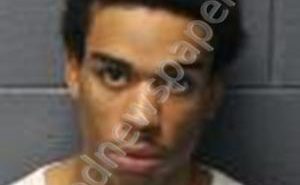 <B>WHITEHEAD</B>, <B>SHALIK</B> TRAVELLE #, Hampton County, Virginia - 2019-03-27