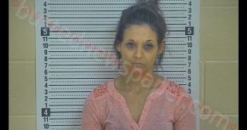 JENNIFER RENEE MOSS | 2019-03-27 22:21:00 Taylor County, Kentucky Booking