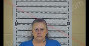 STEPHANIE MICHELLE TRAVIS | 2019-03-27 18:11:00 Taylor County, Kentucky Booking