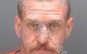 DAVIS, JESSE | 2019-03-28 10:19:21 Pinellas County, Florida Booking