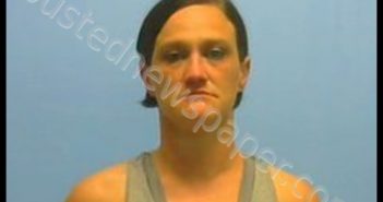 KACY LYNN HEYLAND | 2019-03-28 12:59:00 Johnson County, Arkansas Booking