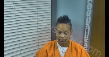 TANISHA MARIE FORTNEY | 2019-03-28 13:20:00 Ottawa County, Ohio Booking