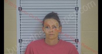 HOLLY MARIE ABELL | 2019-03-28 10:50:00 Taylor County, Kentucky Booking
