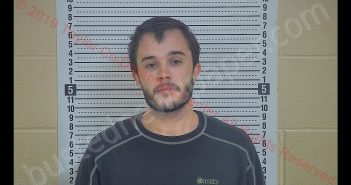 STEPHEN MCQUEEN | 2019-03-28 22:15:00 Taylor County, Kentucky Booking