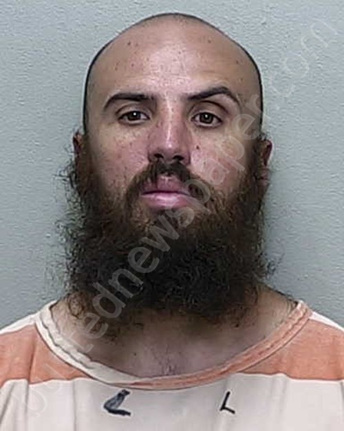 ALVAREZ, ANGEL LUIS #, Marion County, Florida - 2019-03-28 20:21:00