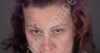 BRUNNER, <B>JENNIFER</B> <B>LYNN</B> #, Pasco County, Florida - 2019-03-28 03:10:00