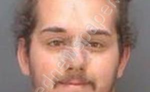 WAYNE, BENEDICT | 2019-03-28 10:33:04 Pinellas County, Florida Booking