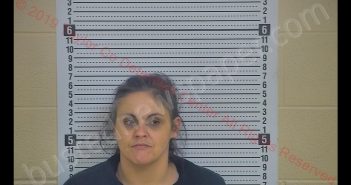 MARY COOK | 2019-03-28 21:12:00 Taylor County, Kentucky Booking