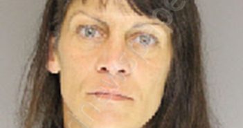 LAWTON, JESSICA PILSON | 2019-03-28 13:48:00 Moore County, North Carolina Booking