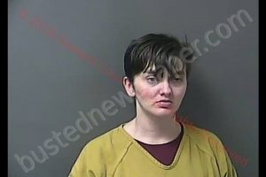 AMANDA MICHELLE BURDINE | 2019-03-28 11:19:00 Howard County, Indiana Booking