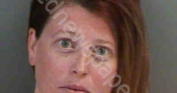 SMITH,BRITTANY ANN | 2019-03-28 Collier County, Florida Booking