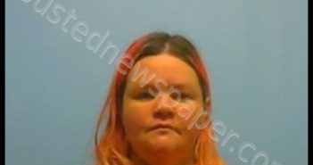 BRANDY ANN ADAMS | 2019-03-29 22:00:00 Johnson County, Arkansas Booking