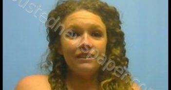 ERIN LYNN NEWBERRY | 2019-03-29 18:29:00 Johnson County, Arkansas Booking