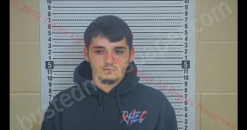 JACOB R LANE | 2019-03-29 02:43:00 Taylor County, Kentucky Booking