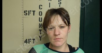 TONYA M GERLT | 2019-03-29 00:31:00 Howard County, Missouri Booking