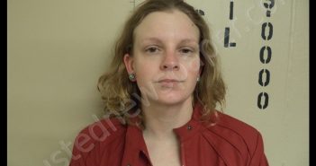 JESSICA CORNIE | 2019-03-29 10:38:00 Howard County, Missouri Booking