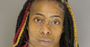SEAGRAVES, JASMINE ELAINE | 2019-03-29 09:05:00 Moore County, North Carolina Booking