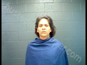 DIAZ,HERMINIA ANN | 2019-03-29 15:08:00 Wichita County, Texas Booking