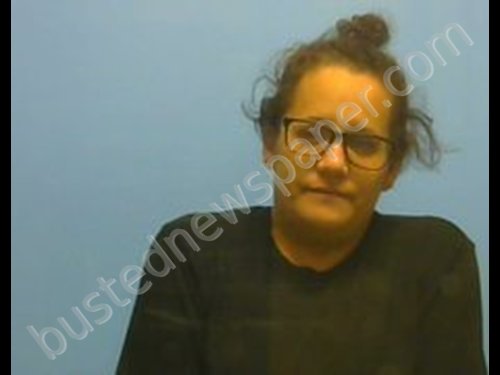 BRANDY ANN PERRY #, Johnson County, Arkansas - 2019-03-30 03:38:00