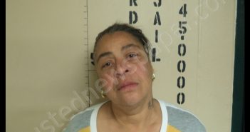 BRENDA KAY SMITH | 2019-03-31 04:53:00 Howard County, Missouri Booking