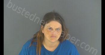 CRYSTAL DAWN HALL | 2019-03-31 11:07:00 Shelby County, Indiana Booking