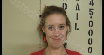 SARAH NICOLE CUMMINS | 2019-03-31 00:16:00 Howard County, Missouri Booking