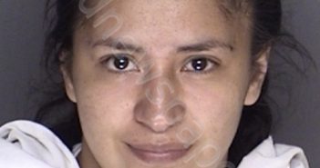 SANDOVAL, DAMARIS | 2019-03-31 16:43:00 Ellis County, Texas Booking