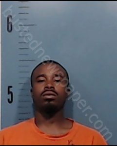 STEVENSON, DESHAUD TERRELL | 2019-03-31 Taylor County, Texas Booking