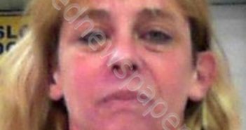 LEEK, JESSICA ERIN | 2019-04-01 11:00:00 Tyler County, West Virginia Booking