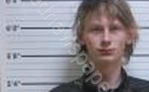 <B>WALKER</B>, <B>AARON</B> <B>MICHEAL</B> #, Williams County, North Dakota - 2019-04-01