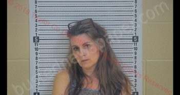 MICHELLE L KASEY | 2019-04-01 22:27:00 Taylor County, Kentucky Booking