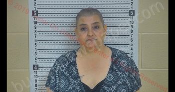 SHANNON L ROGERS | 2019-04-01 19:55:00 Taylor County, Kentucky Booking