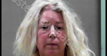 BRIDEN, KIM MARIE | 2019-04-01 22:02:00 Ohio County, West Virginia Booking